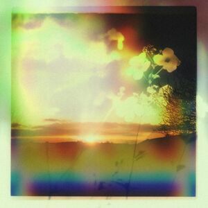 Tim Reaper - Sage  12-INCH SINGLE